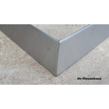 Abschlussprofil Edelstahl gebürstet Höhe 12-20cm Länge 200 cm  für Terrasse Balkon Pool Sonderanfertigung (10Tage Lieferzeit)