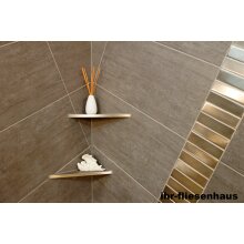 Edelstahl Ablage Duschablage 300/170L Dreieck zum Einfliesen