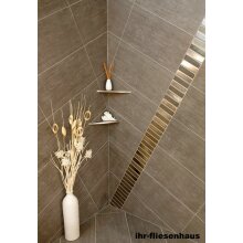 Edelstahl Ablage Duschablage 300/170L Dreieck zum Einfliesen