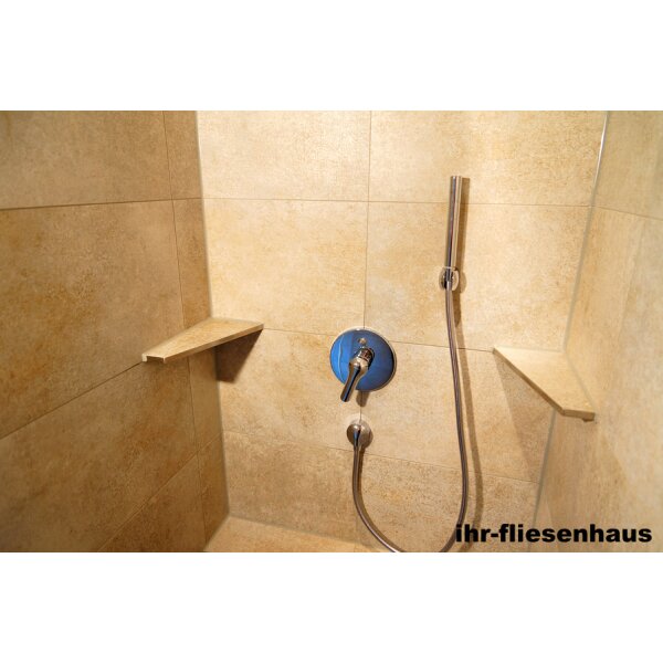 Edelstahl Ablage Duschablage 170/300R Trapetz zum Einfliesen