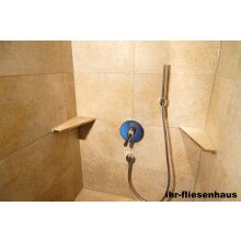 Edelstahl Ablage Duschablage 170/300R Trapetz zum Einfliesen